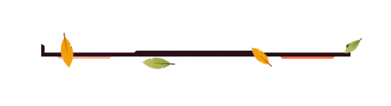 Fall - Greenscreen Blank