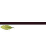 Fall - Greenscreen Blank