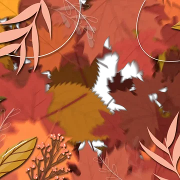 Fall - Transition