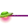 Galaxy - Greenscreen Blank