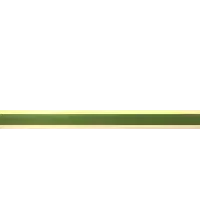 Gambler - Greenscreen Blank