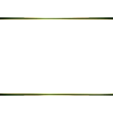 Gambler - Webcam Blank