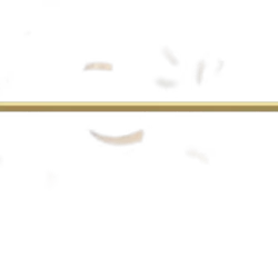 Golden2024 - Greenscreen Blank