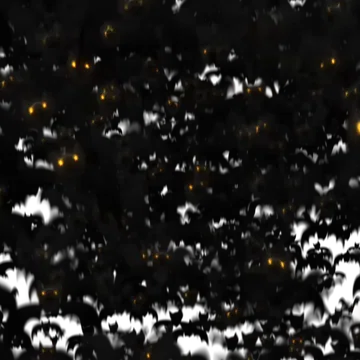 Gotico - Transition