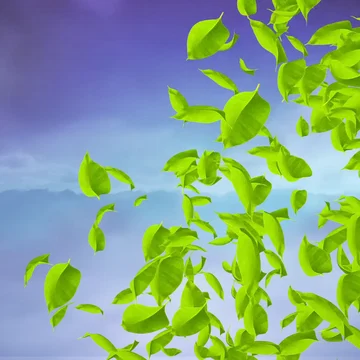Ground - Transition