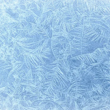 Icebrush - Transition