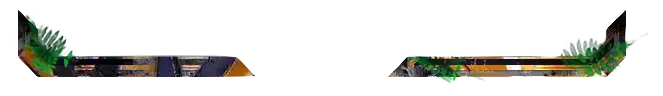 Jungle - Greenscreen Blank