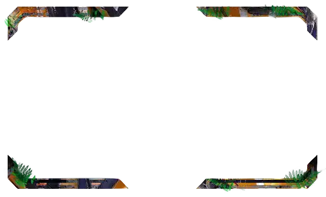 Jungle - Webcam Blank