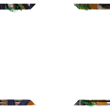 Jungle - Webcam Blank