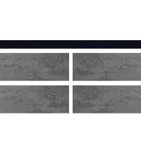 Kernel - Greenscreen 4 Panels
