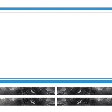 Ladon - Webcam 4 Panels