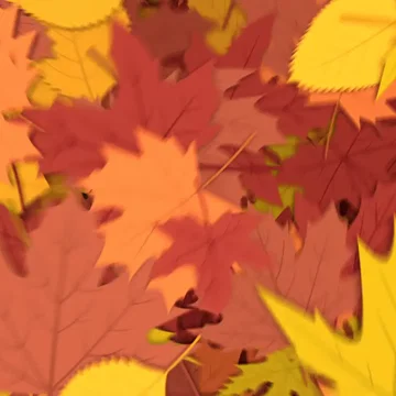 Lumber - Transition