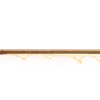 Nature - Greenscreen Blank