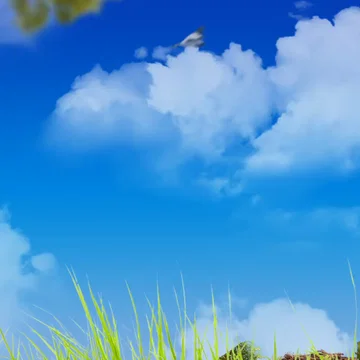 Nature - Transition