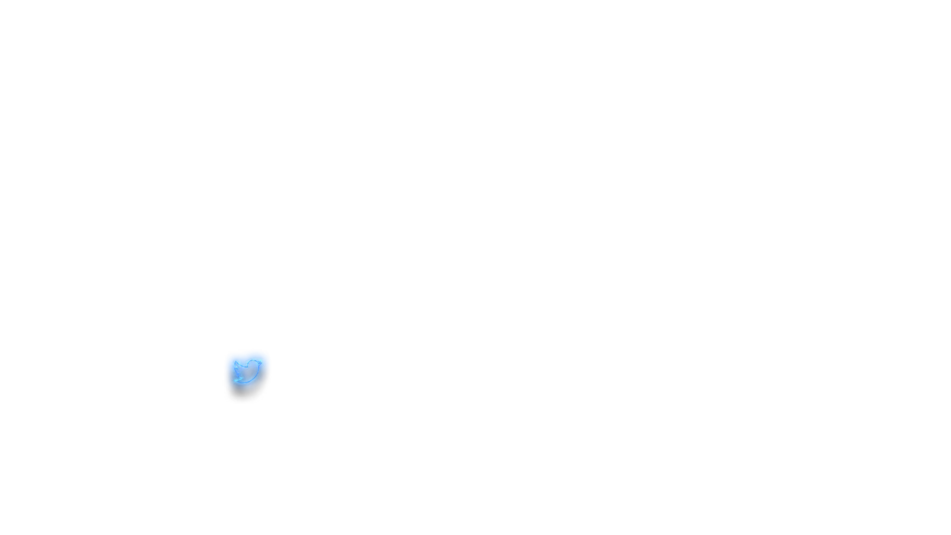 NeonPlay - Social Icon Twitter