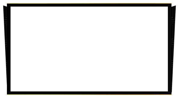 Onyx - Webcam Blank
