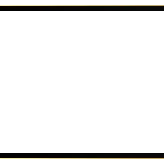 Onyx - Webcam Blank