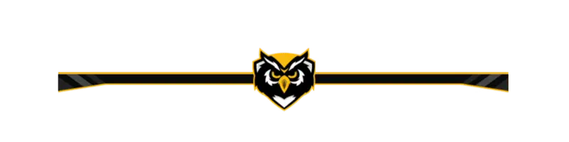 OWL - Greenscreen Blank