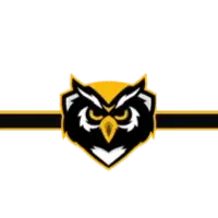 OWL - Greenscreen Blank