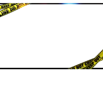 Police - Webcam Blank