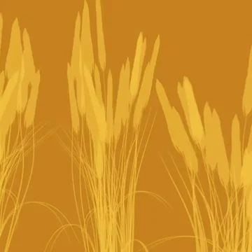 Ranch - Transition