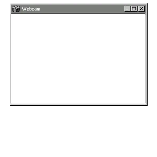 RetroWin - Webcam Blank