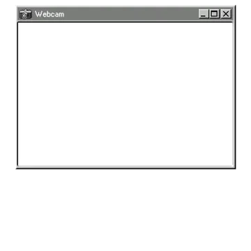 RetroWin - Webcam Blank