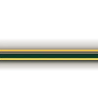Sallow - Greenscreen Blank