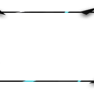 Singularity - Webcam Blank