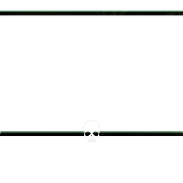 Skirmish - Webcam Blank