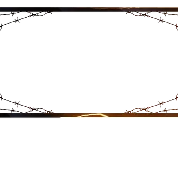 Vokrat - Webcam Blank