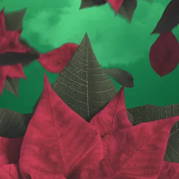 Xmas World - Transition
