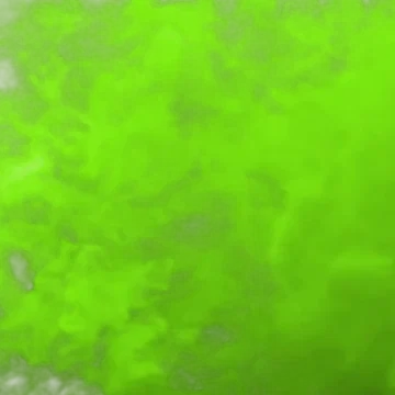 Borealis - Transition