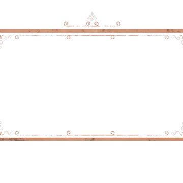 Decor - Webcam Blank