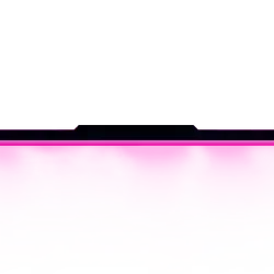 Miaminights - Greenscreen Blank