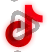 NinjaParty - Social Icon TikTok
