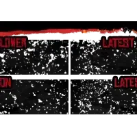 RedDead - Greenscreen 4 Panels