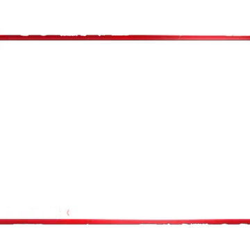 Survival - Webcam Blank