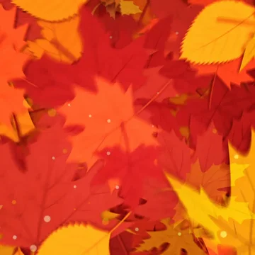Thanksgiving - Transition