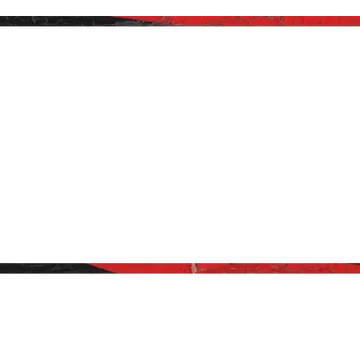 Vintage - Webcam Blank