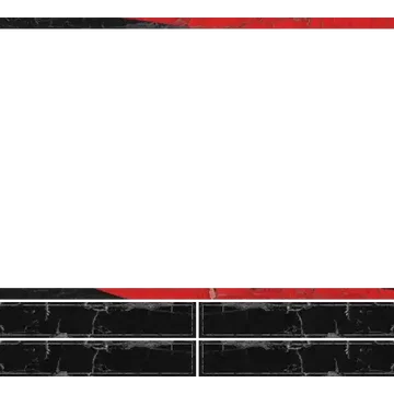 Vintage - Webcam 4 Panels