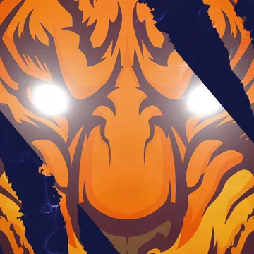 Tiger - Transition
