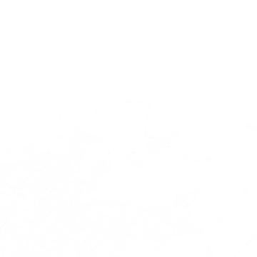 Flat - Special