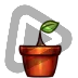 Plant - Sub Badge 2 Months