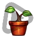 Plant - Sub Badge 3 Months