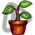 Plant - Sub Badge 6 Months