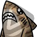 Shark - Sub Badge 6 Months