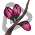 Cherry Blossom - Sub Badge 2 Months
