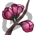 Cherry Blossom - Sub Badge 3 Months