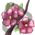 Cherry Blossom - Sub Badge 9 Months